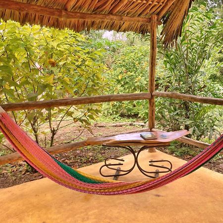 Encantadora Villa Maya Tradicional En Rancho Agroecologico Tzucaceb Buitenkant foto