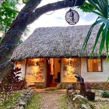 Encantadora Villa Maya Tradicional En Rancho Agroecologico Tzucaceb Buitenkant foto