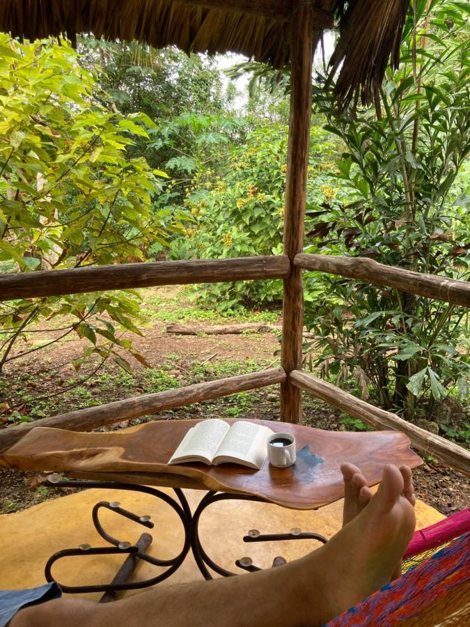 Encantadora Villa Maya Tradicional En Rancho Agroecologico Tzucaceb Buitenkant foto