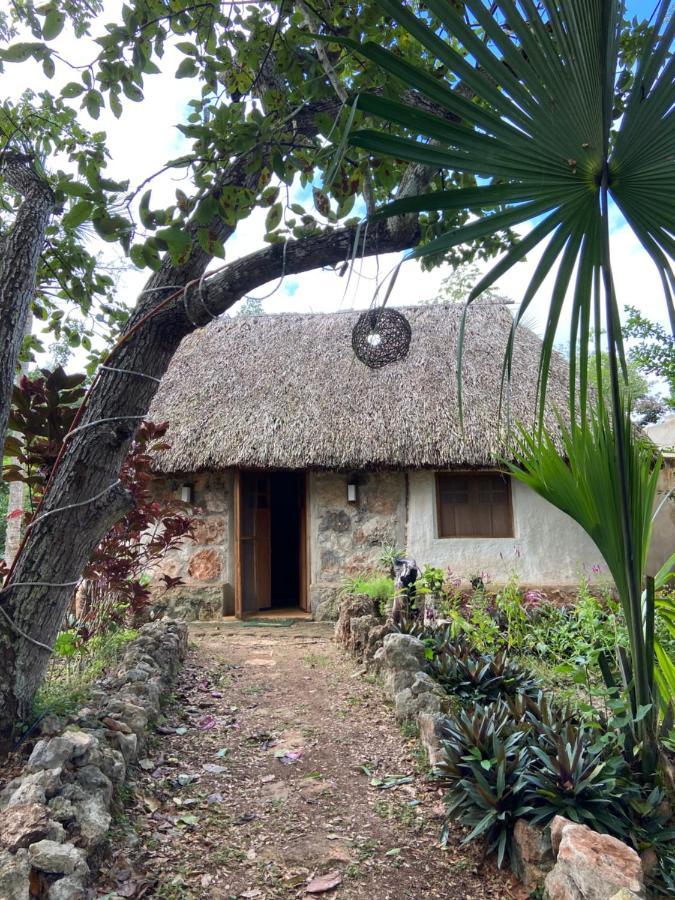 Encantadora Villa Maya Tradicional En Rancho Agroecologico Tzucaceb Buitenkant foto