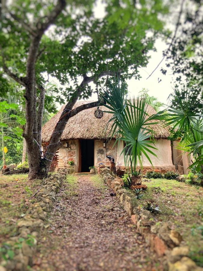 Encantadora Villa Maya Tradicional En Rancho Agroecologico Tzucaceb Buitenkant foto