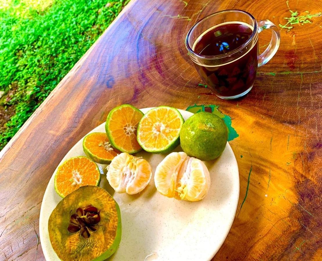 Encantadora Villa Maya Tradicional En Rancho Agroecologico Tzucaceb Buitenkant foto