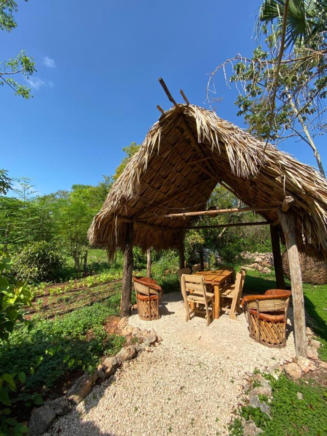 Encantadora Villa Maya Tradicional En Rancho Agroecologico Tzucaceb Buitenkant foto