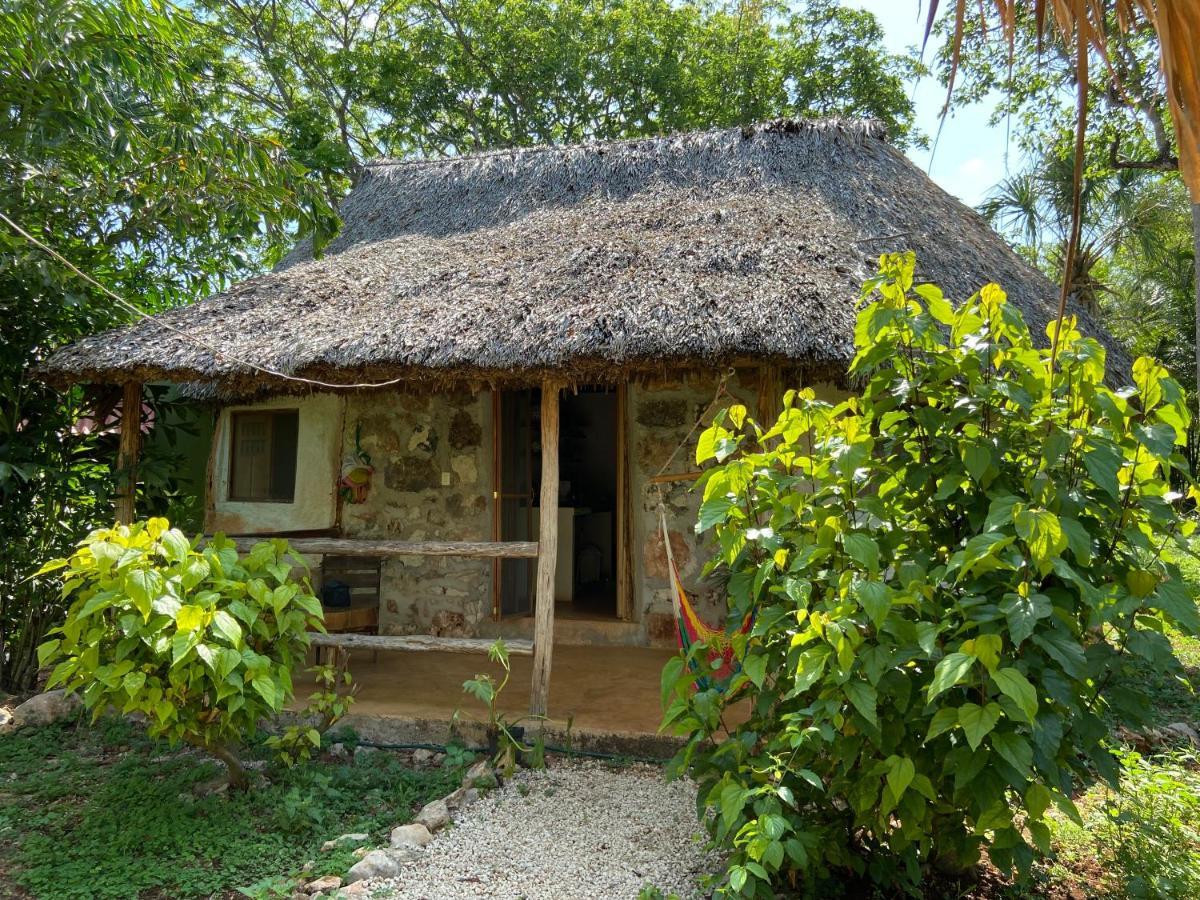 Encantadora Villa Maya Tradicional En Rancho Agroecologico Tzucaceb Buitenkant foto