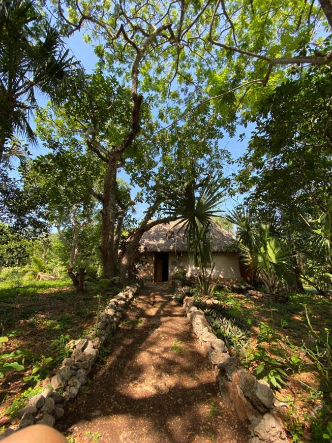 Encantadora Villa Maya Tradicional En Rancho Agroecologico Tzucaceb Buitenkant foto