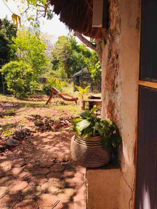 Encantadora Villa Maya Tradicional En Rancho Agroecologico Tzucaceb Buitenkant foto