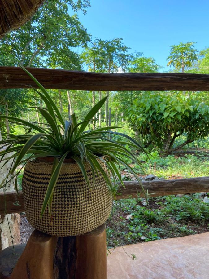 Encantadora Villa Maya Tradicional En Rancho Agroecologico Tzucaceb Buitenkant foto