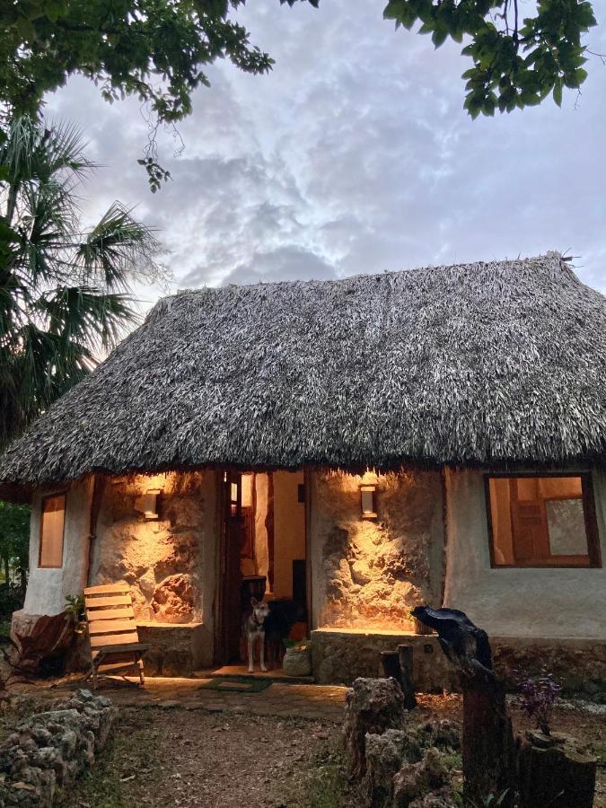 Encantadora Villa Maya Tradicional En Rancho Agroecologico Tzucaceb Buitenkant foto