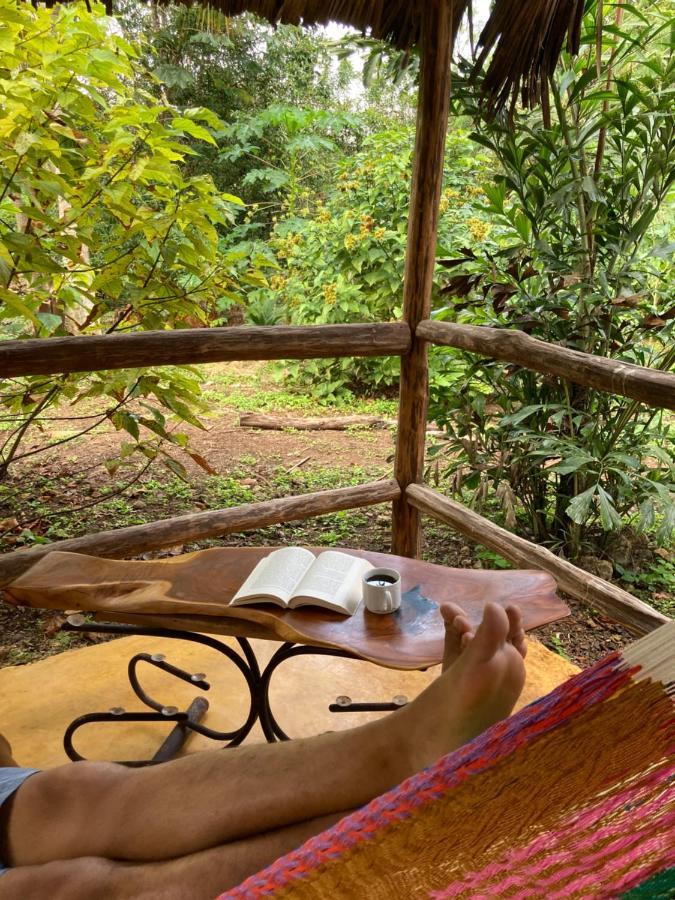 Encantadora Villa Maya Tradicional En Rancho Agroecologico Tzucaceb Buitenkant foto