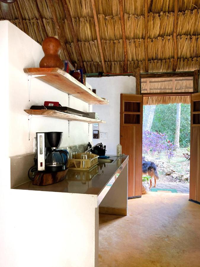 Encantadora Villa Maya Tradicional En Rancho Agroecologico Tzucaceb Buitenkant foto