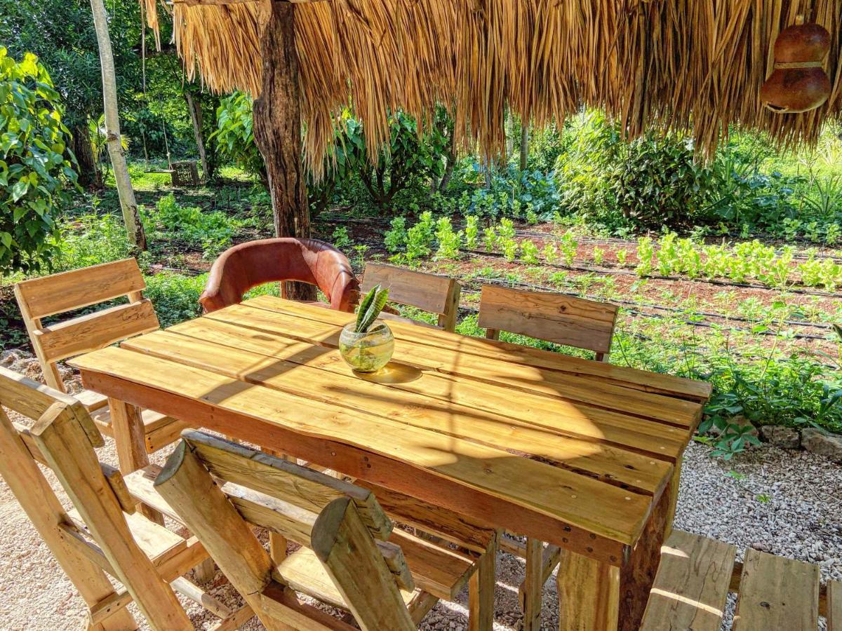 Encantadora Villa Maya Tradicional En Rancho Agroecologico Tzucaceb Buitenkant foto