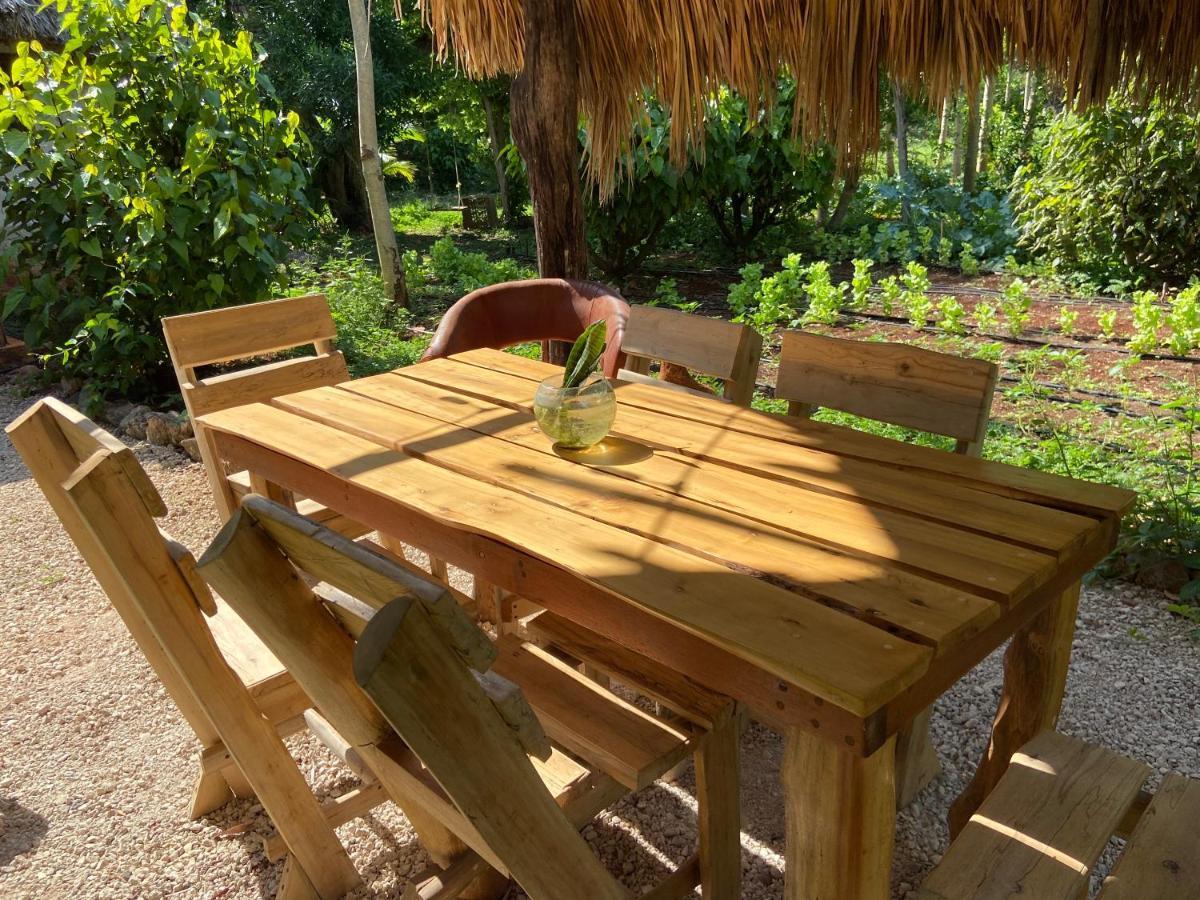Encantadora Villa Maya Tradicional En Rancho Agroecologico Tzucaceb Buitenkant foto