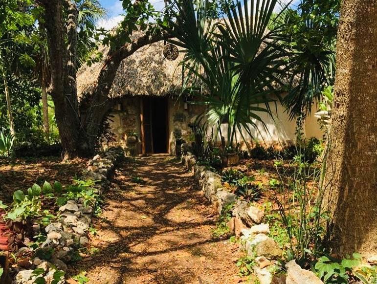 Encantadora Villa Maya Tradicional En Rancho Agroecologico Tzucaceb Buitenkant foto