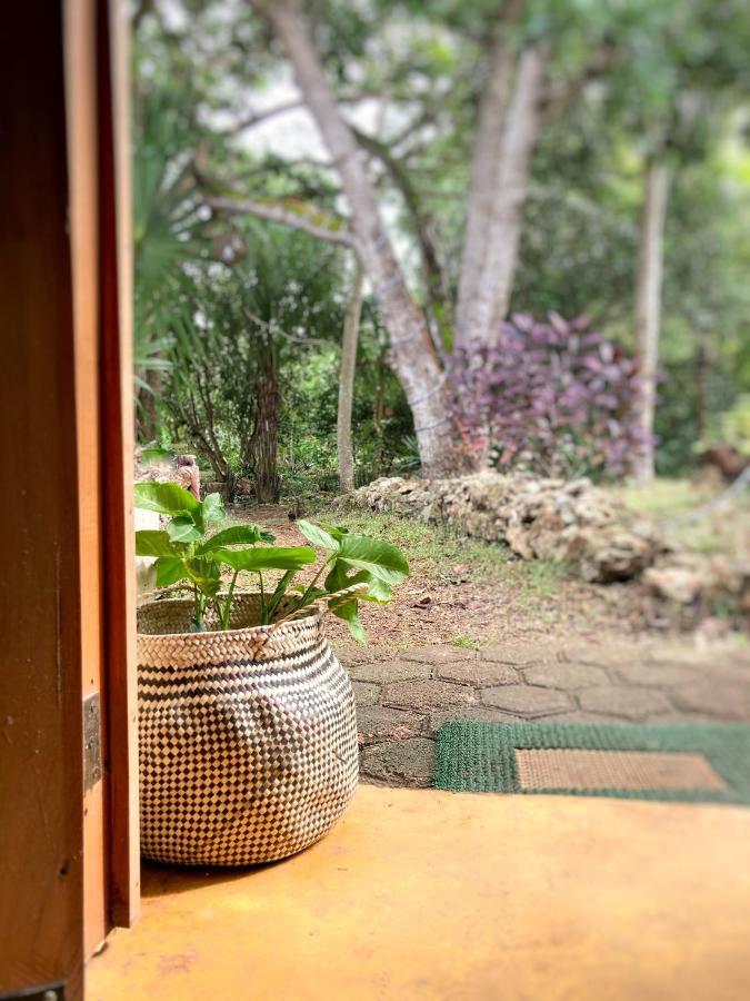 Encantadora Villa Maya Tradicional En Rancho Agroecologico Tzucaceb Buitenkant foto