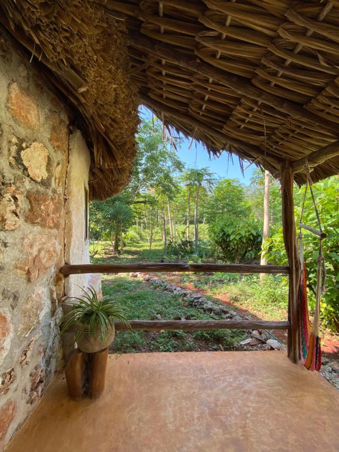 Encantadora Villa Maya Tradicional En Rancho Agroecologico Tzucaceb Buitenkant foto